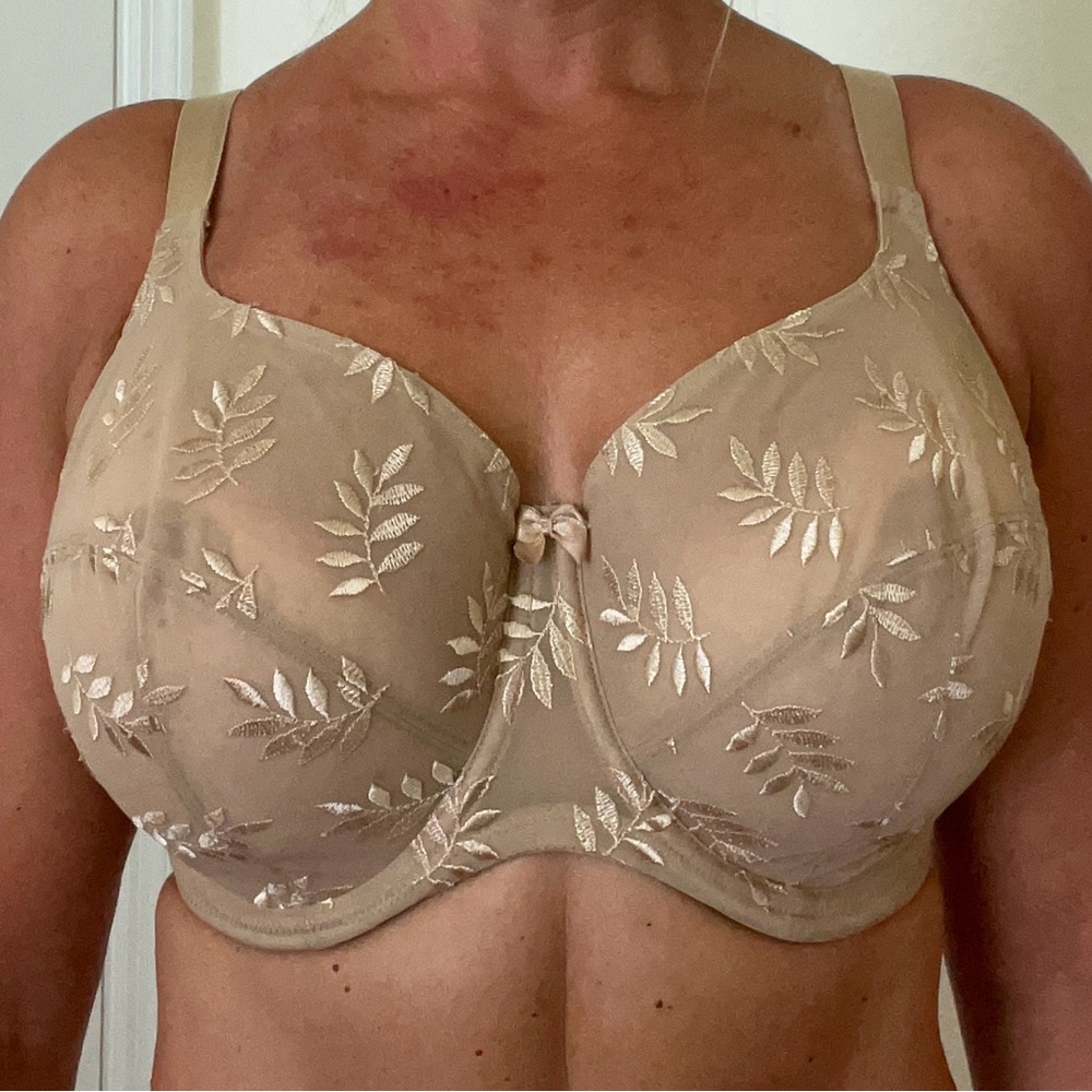 Elegant Beige Floral Embroidered Bra